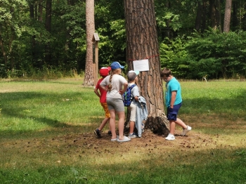 IMG_20250708_105650