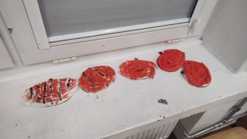 IMG_20251120_150832346