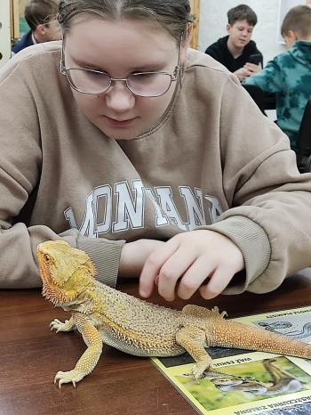 4_IMG-20251209-WA0047