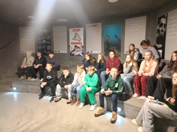 9_IMG-20251209-WA0034