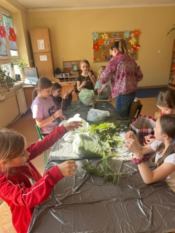 1_IMG-20260324-WA0008