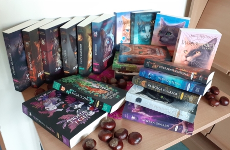Seria „WOJOWNICY” – dostępna w bibliotece szkolnej